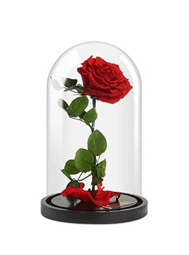 Trandafir rosu in sticla