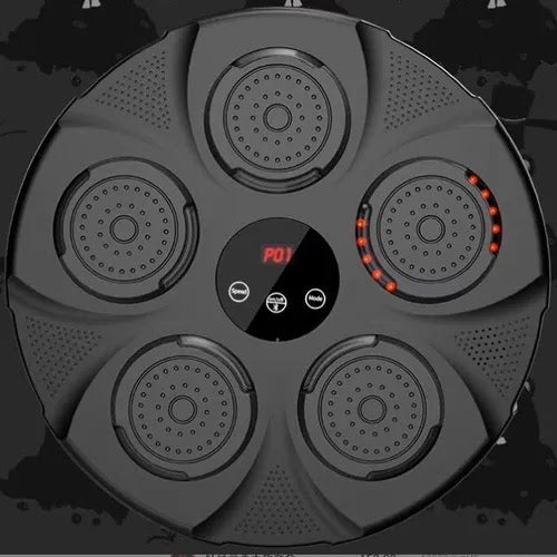 DISC DE ANTRENAMENT BOX