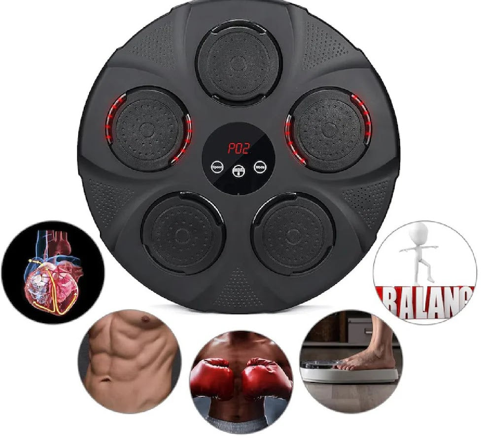 DISC DE ANTRENAMENT BOX