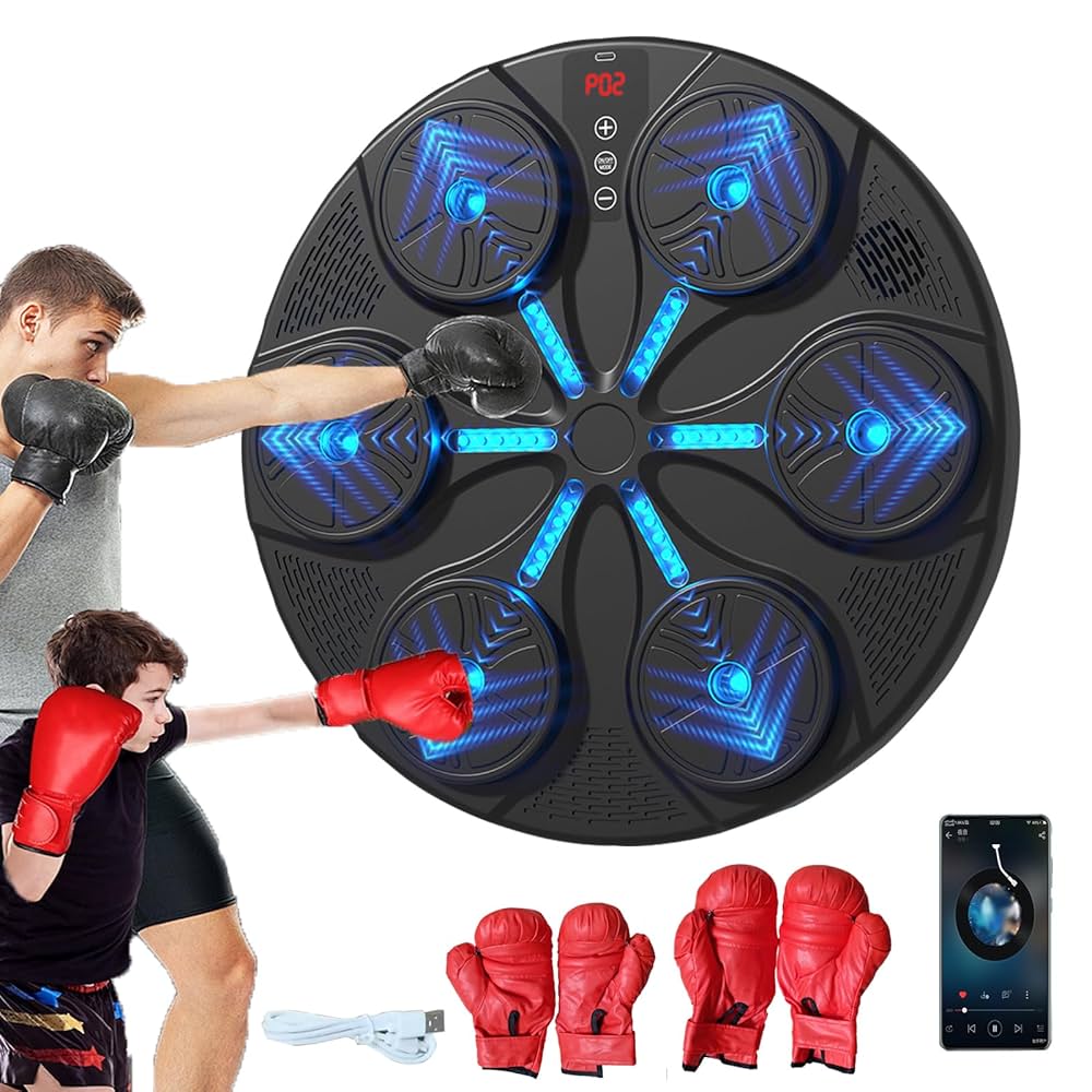 DISC DE ANTRENAMENT BOX