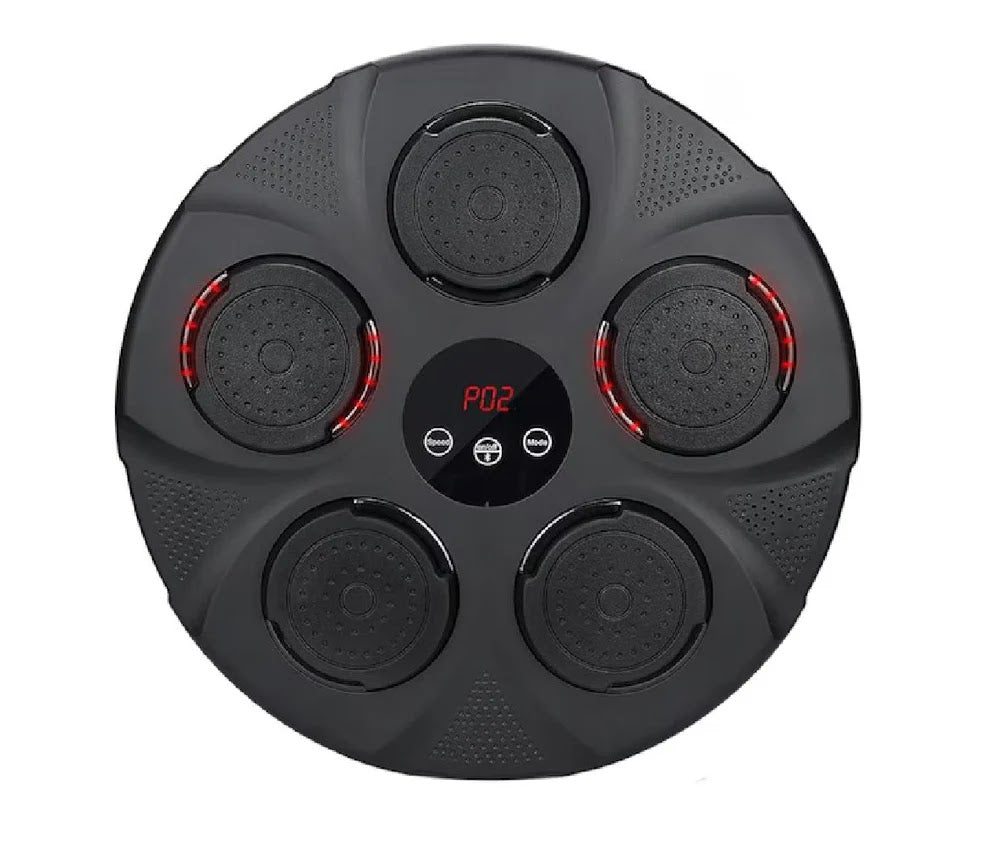 DISC DE ANTRENAMENT BOX