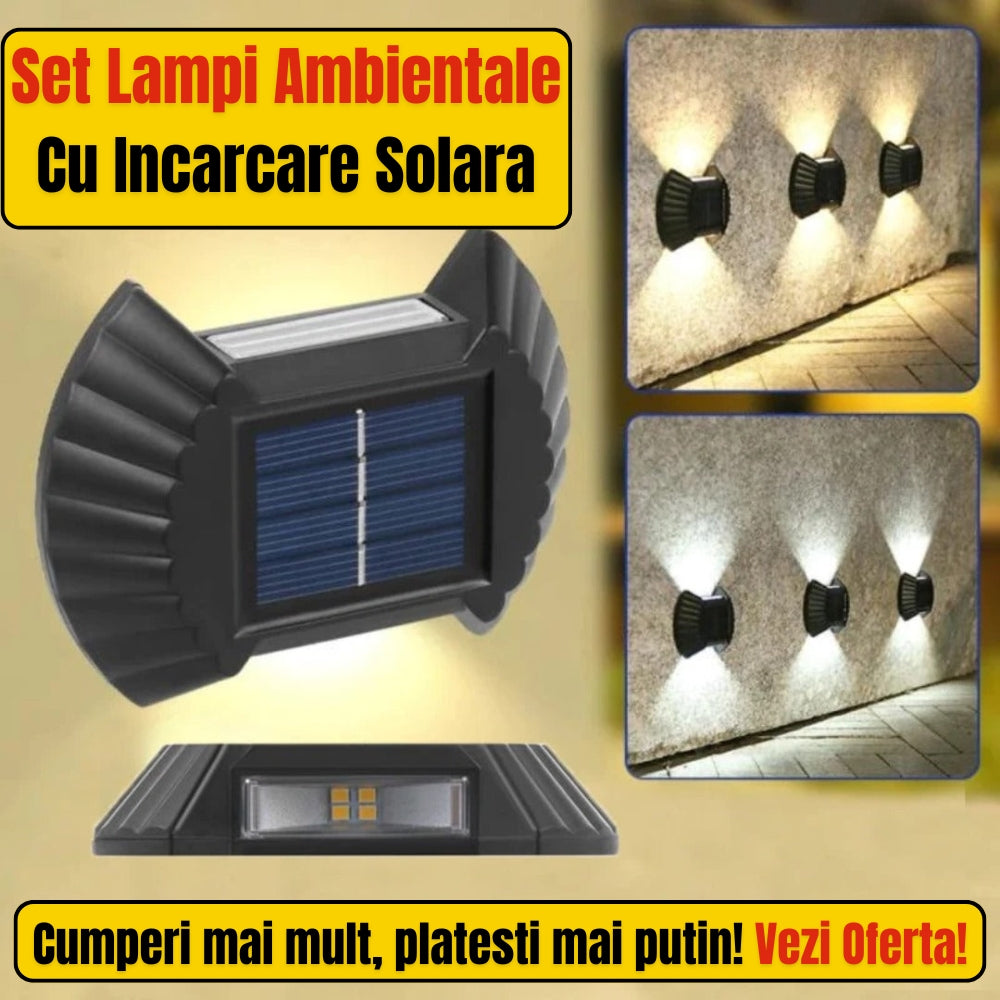 SET 8 LAMPI SOLARE IN FORMA DE SCOICA