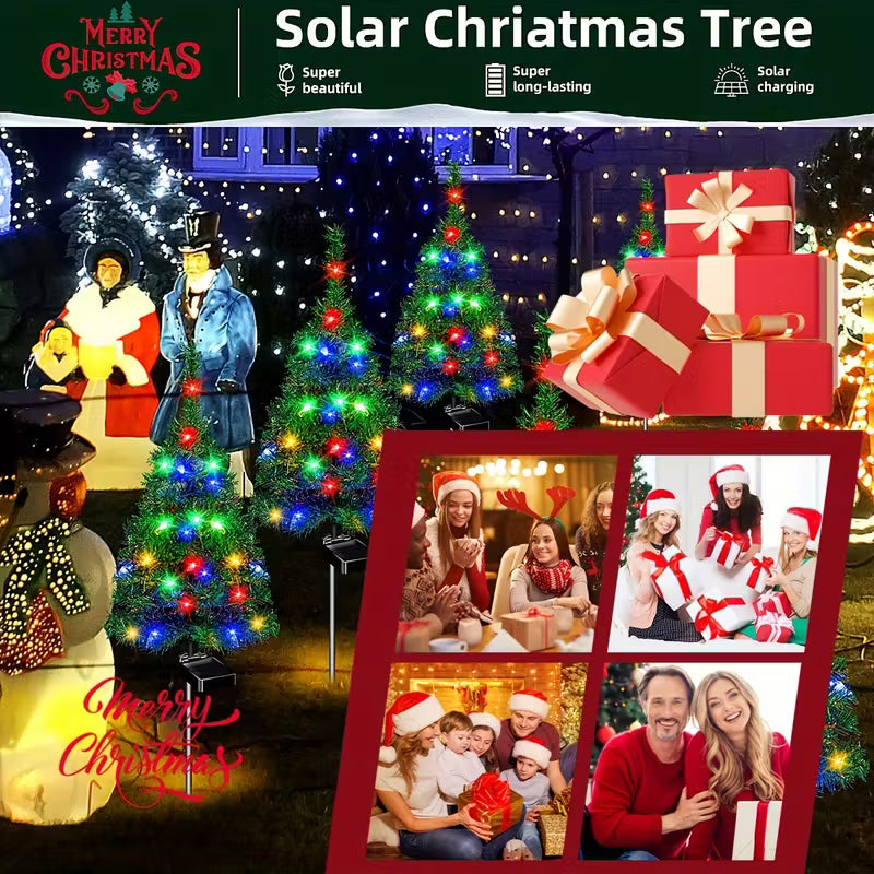 Brăduți mici solari - set de 10